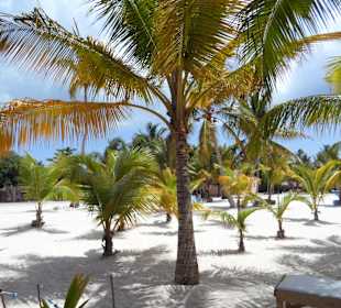 Insel Saona