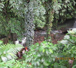 Hier sieht man anhand der Leute die Größe des R.w.