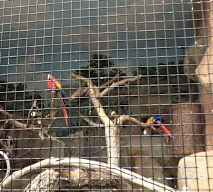 Zoologischer Stadtgarten