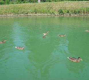 Isar Floßfahrt