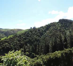 Mit der Taieri Railway durch die Natur Neuselands