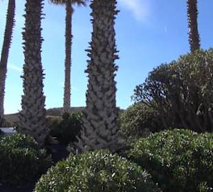 Parroquia San Francisco Javier 