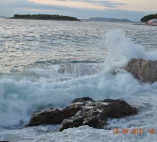 Dzikie fale