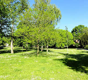 Spaziergang durch die Neustadtswallanlagen