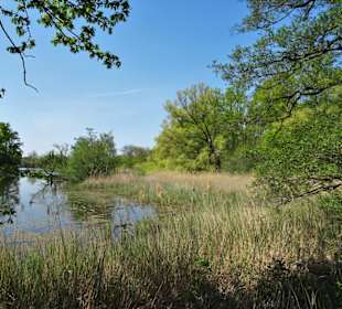 Rundgang durch das Naturschutzgebiet Riddagshausen