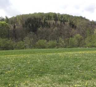 Heuscheuerle - Anhausen
