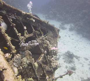 Schnorcheln Marsa Abu Galawa Hurghada