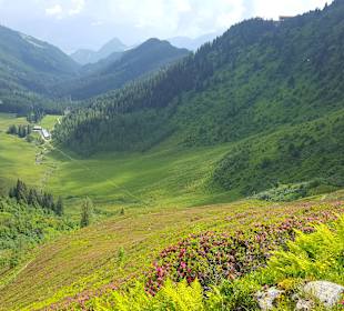 Wandern Fügen (Zillertal)