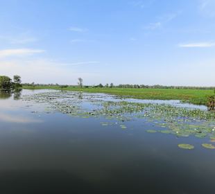 Ausflug zum Yellow River