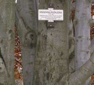 Krásenský vrch - rozhledna