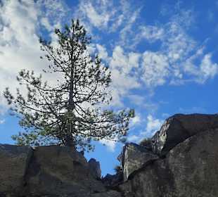 ...aber tolle Bilder allemal!