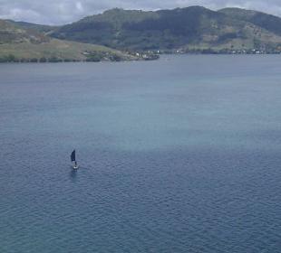 Tiefflug in der Lagune