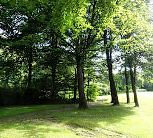 Spaziergang durch den Stadtpark