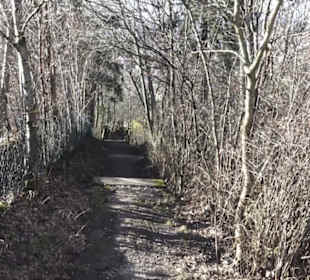 Wanderweg zur Achalm