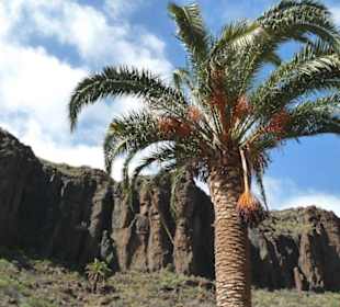 Eingangsstrasse zum Park