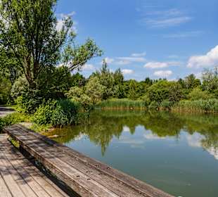 Irchelpark