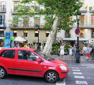 Ramblas