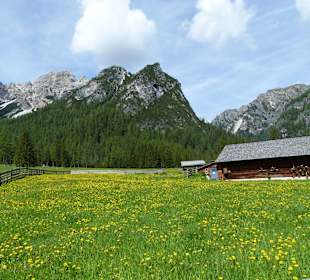 Beim Wildsee