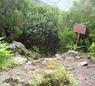 Abstieg zur Levada Rocha Vermelha