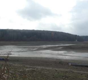 Nov. 2021: Am abgelassenen Ellertshäuser See