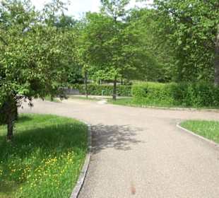 Friedhof Klosterreichenbach