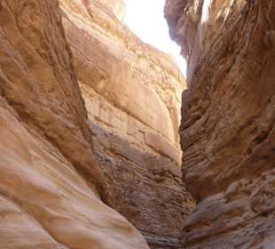 Canyon