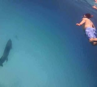 Ich .. Mutter und Jungtier