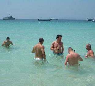 Urlaub pur