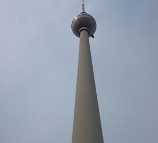 Der Telespargel von unten