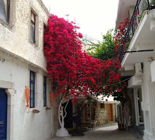 Nebenstrasse in Kos Stadt