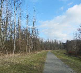 Naturschutzgebiet Boberger Niederung