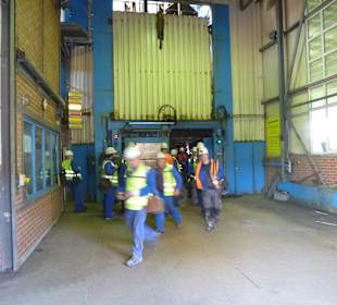 Hier geht es zum Fördrkorb