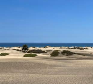 Dünen von Maspalomas