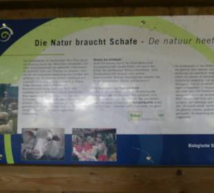 Die Schafe waren wohl auch in anderen Bereichen