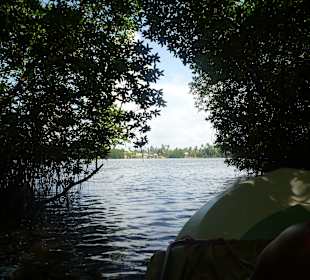 Bootsfahrt auf dem Bentotafluß - toller Ausblick