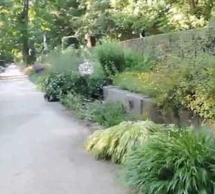 Real Jardín Botánico de Madrid