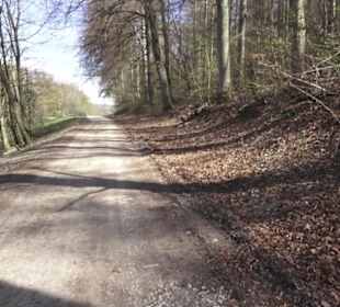 Wanderweg Hochgehkämpft