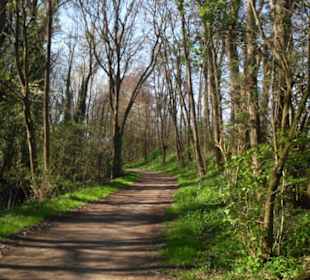 Tal der Nette bei Andernach