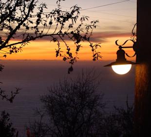 Ausblick