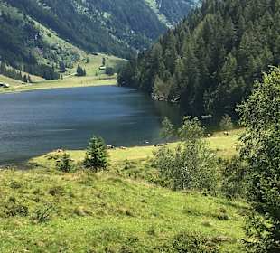 Riesachfälle