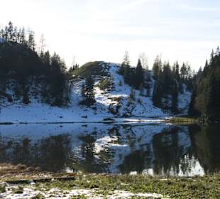 Taubensee im Winter
