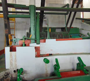 Doka Estate Kaffeeplantage