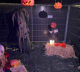 Spielplatz Prickbos Halloween-Event