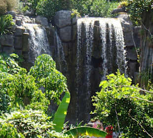 Mini wodospad w palma aquarium