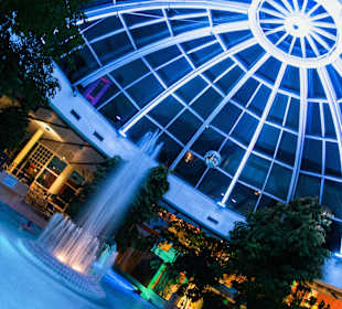 Wasserwelt in LED Licht eingetaucht.