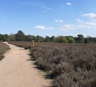 Mehlinger Heide