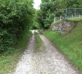 Wanderweg - Alter Steinbruch Pfaffenberg Runde