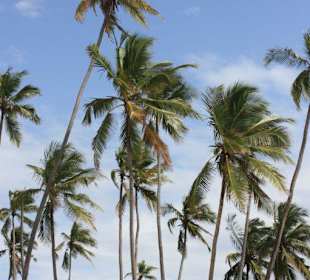 Strand neben dem Hotel