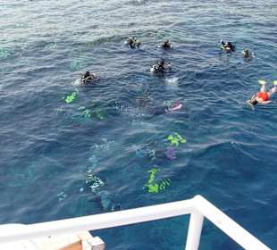 Tauch- und Schnorcheltour
