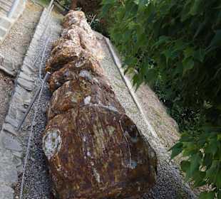 Sigri Petrified Forest Museum